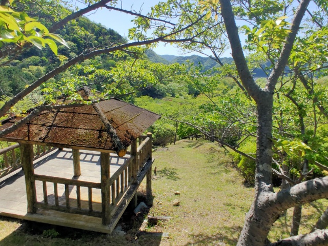 岡稻荷森林景觀