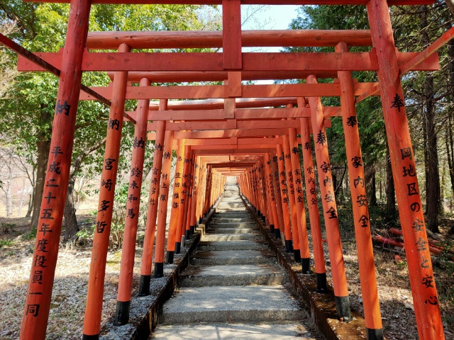 朱紅鳥居群